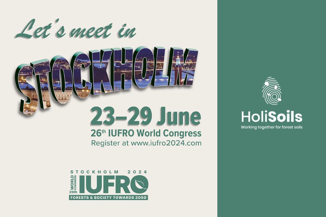 Let's meet at the IUFRO World Conference 2024